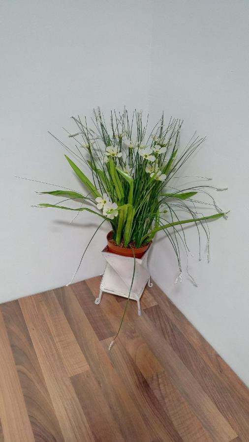 Bnap Gesta Appartement Oviedo Buitenkant foto